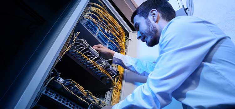 it professional working on server
